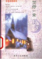 欠你一束月光