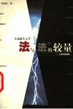 法与“法”的较量 长篇报告文学