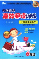 高效阅读训练 小学 语文 六年级 名师导读版