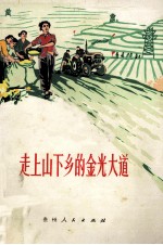 走上山下乡的金光大道