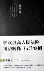 解读最高人民法院司法解释、指导案例 民事卷(上)