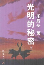 光明的秘密 下