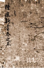 种痘新书 卷之5