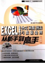 EXCEL 2007公式·函数·图表与数据处理从新手到高手 全新版
