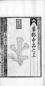经史证类大观本草 卷8