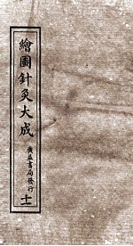 绘图针灸大成 卷11 中
