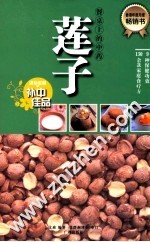 餐桌上的中药 莲子