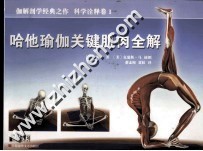哈他瑜伽关键肌肉全解 科学诠释卷 1