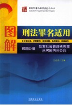 图解刑法罪名适用 第4分册 妨害社会管理秩序罪、危害国防利益罪