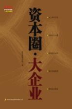 资本圈 大企业