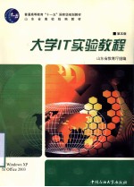 大学IT实验教程