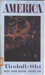 AMERICA A NARRATIVE HISTORY VOLUME 2