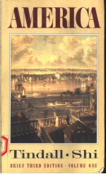 AMERICA A NARRATIVE HISTORY VOLUME 1