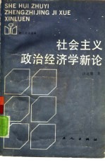社会主义政治经济学新论