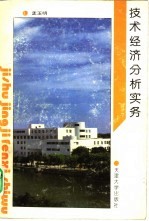 技术经济分析实务