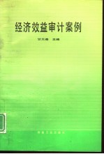 经济效益审计案例
