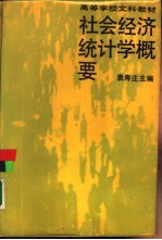社会经济统计学概要