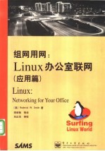 组网用网 Linux办公室联网 应用篇