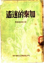 遥远的泰加