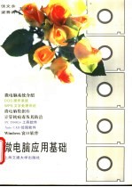 微电脑应用基础