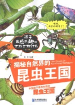 揭秘自然界的昆虫王国 美绘版