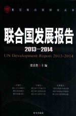 联合国发展报告 2013-2014