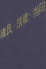 雄风·浩歌·当阳
