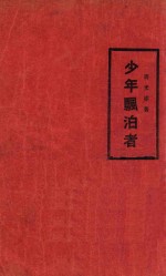 少年漂泊者