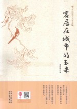 客居在城市的玉米