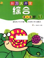 脑力大开发 综合 2-3岁 1