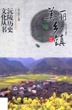 美丽乡镇
