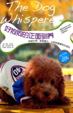 好狗狗的正面驯养