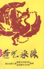 楚艺采珠 湖北省第三届屈原文艺创作奖、金凤青年文艺奖集锦