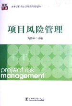 项目风险管理