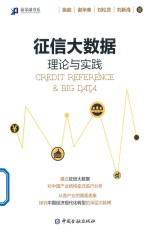 征信大数据 理论与实践