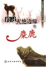 跨过灭绝边缘的麋鹿