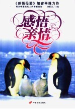 感悟亲情