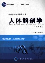 人体解剖学