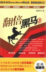 翻倍黑马 3