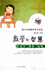 数学的智慧