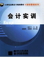 会计实训