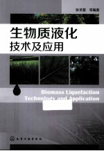 生物质液化技术及应用