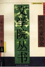 四川作家协会文学院丛书 4 小说卷 4