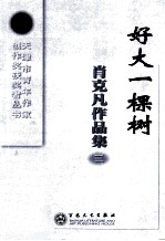 好大一棵树 肖克凡作品集三