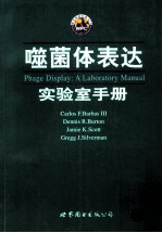 噬菌体表达 实验室手册 重印版