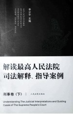 解读最高人民法院司法解释、指导案例 刑事卷 下