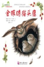 大自然的故事科学童话绘本系列 金眼睛猫头鹰