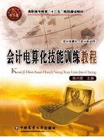 会计电算化技能训练教程