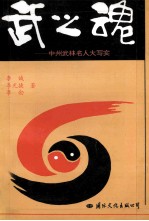 武之魂 中州武林名人大写实