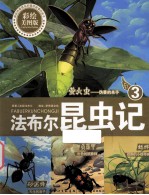 法布尔昆虫记 萤火虫 伪善的杀手 3